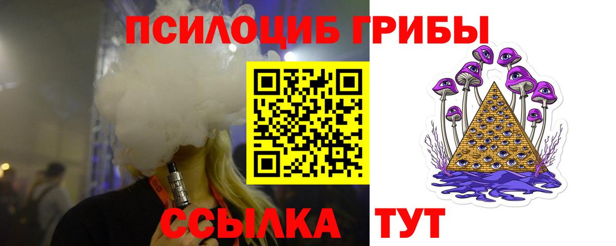 Нижнеудинск  купить  цена  Вход с VPN  Галлюциногенные грибы Cubensis  Галлюциногенные грибы прущие грибы 